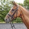 BR078 - Barton Bling Flash Bridle (inc Rubber Reins)